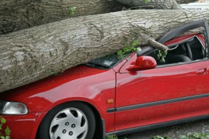 reasons to buy more than liability auto insurance